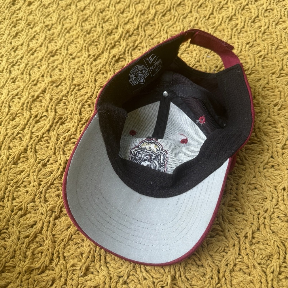 Mahoning Valley Scrappers Hat Cap Youth Kids Sports Minor League Baseball MiLB - Picture 4 of 4